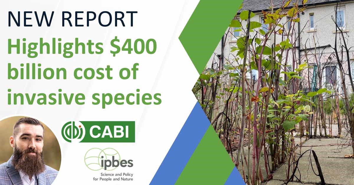 New report highlights $400 billion cost of invasive species